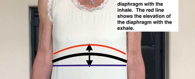 Movement of the respiratory and pelvic diaphragms with inhale and exhale